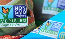 비 GMO 인증서
