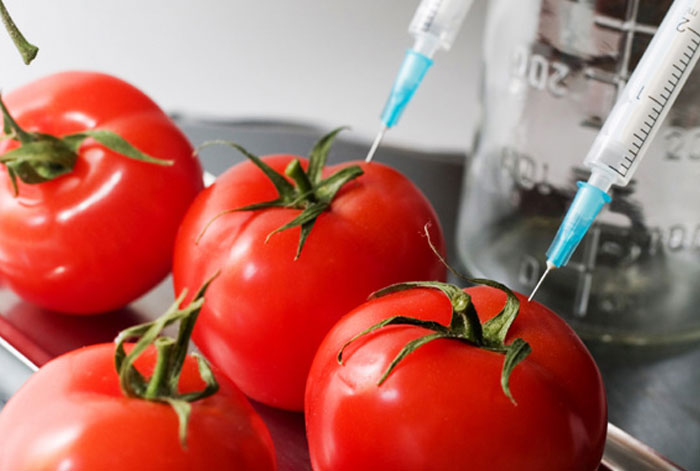 تجزیه و تحلیل GMO-GMO